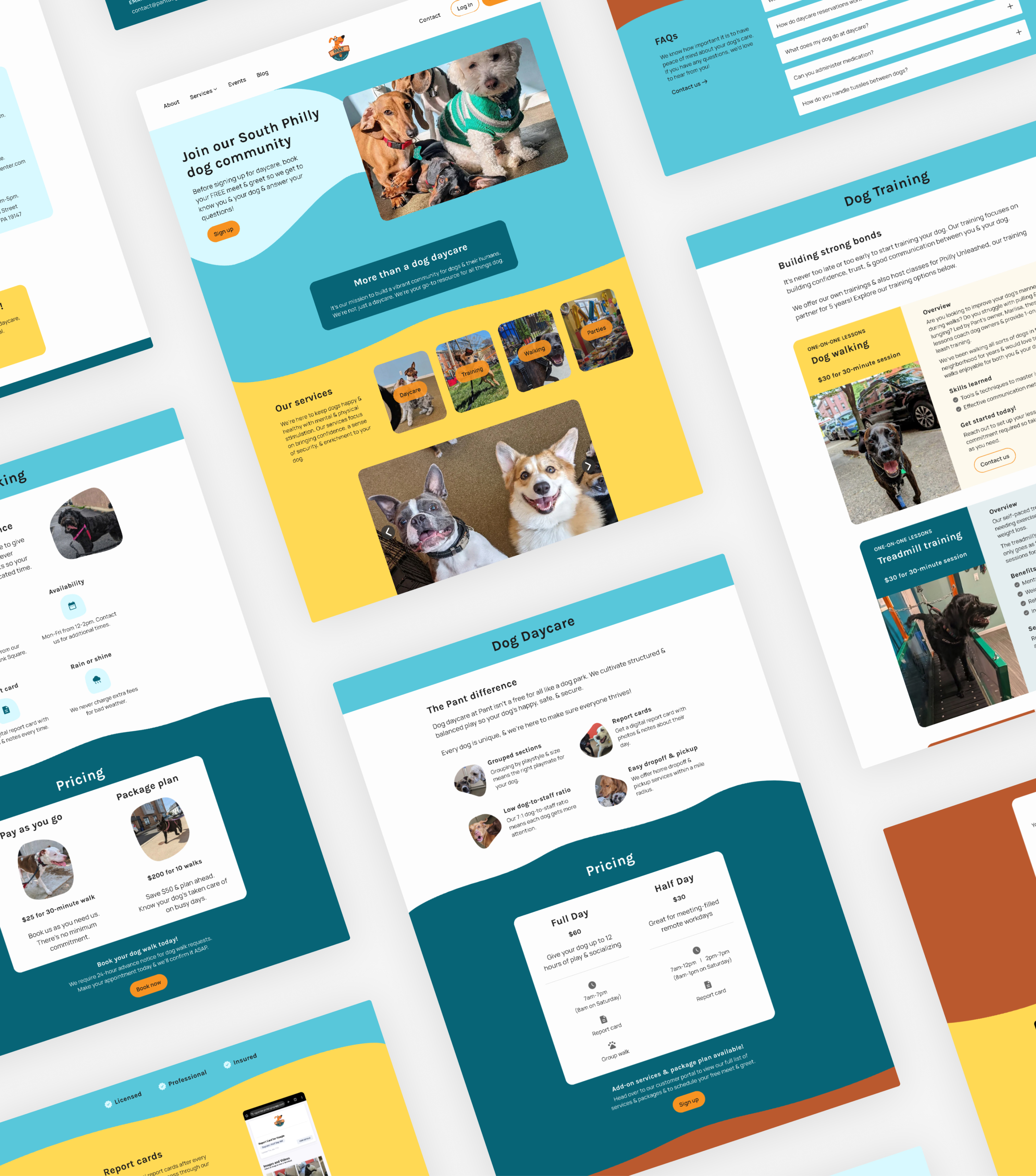 Several screenshots of Pant Doggy Daycare's new website