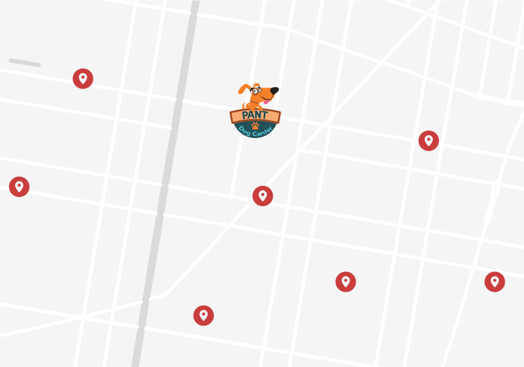 A map showing several nearby dog daycares in Pant's vicinity.