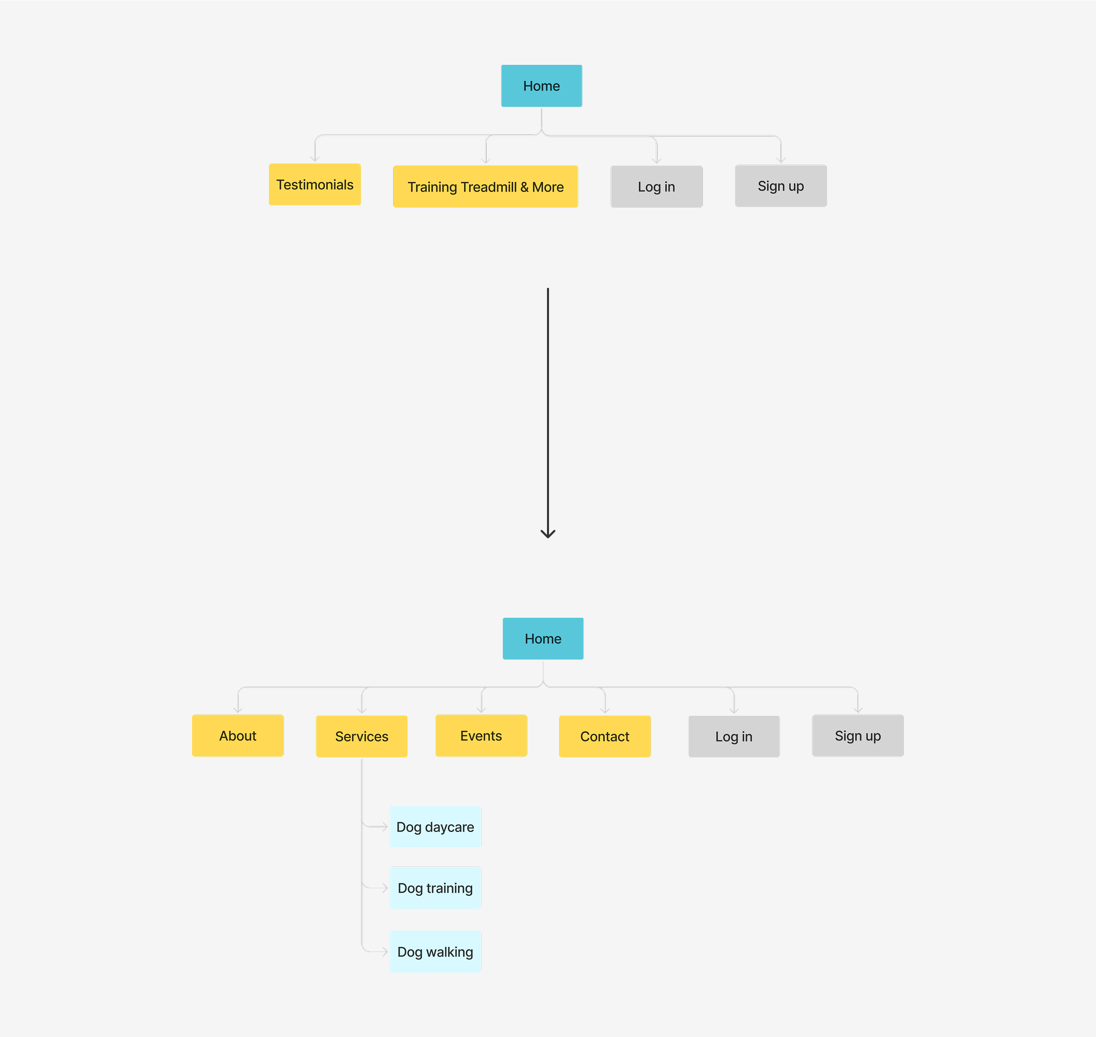 A chart showing changes to Pant's website structure.
